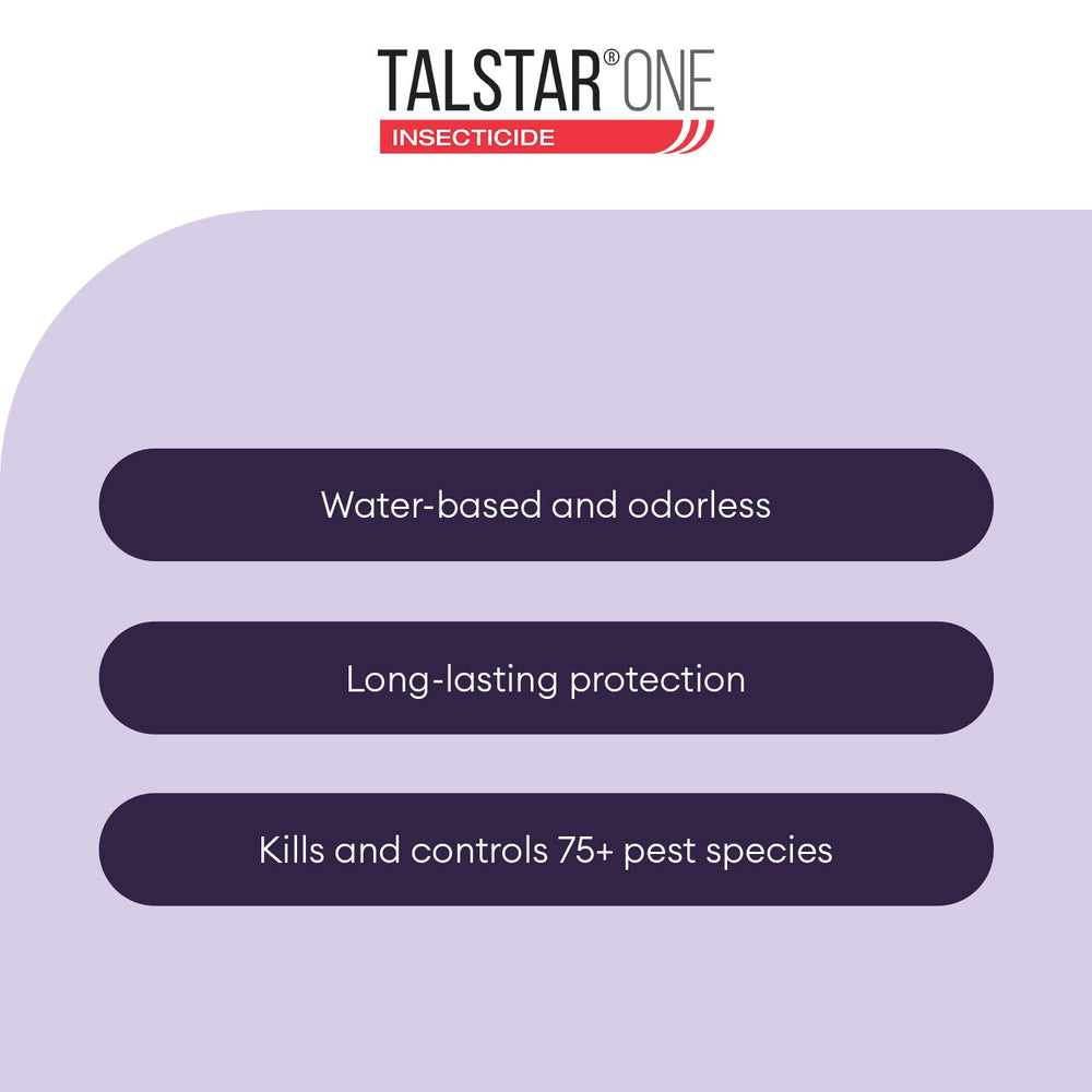 Envu Talstar One outdoor structural spray on surfaces and landscapes.