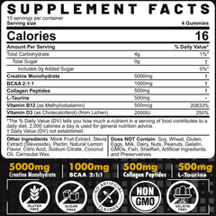 EnvyCure Creatine Monohydrate Gummies chewed daily for easy intake and recovery support