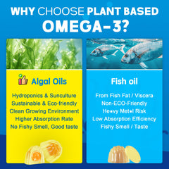 EnvyCure vegan omega-3 gummies bottle showing CoQ10 and magnesium icons