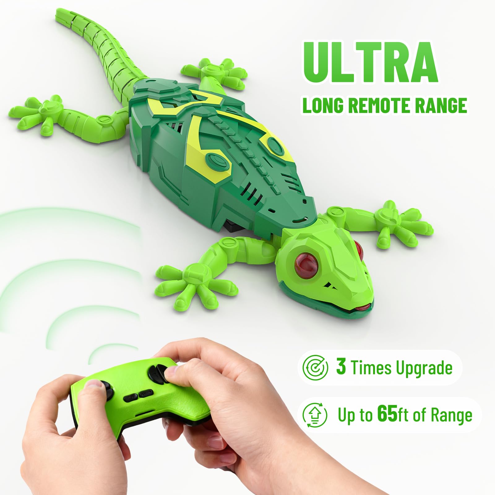Envyvip Gecko on wall action highlights vertical fun and curiosity