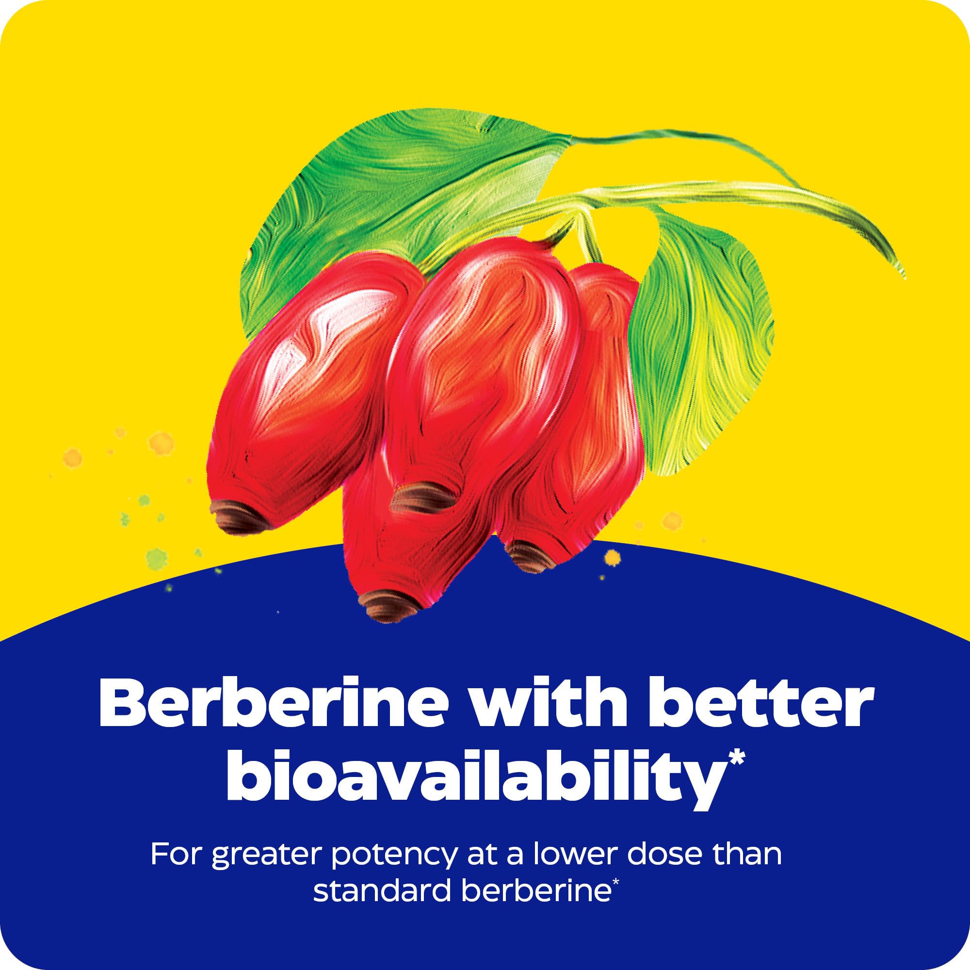 Enzymedica Berberine Phytosome dispensing-scene demonstrates simple daily use with meals.