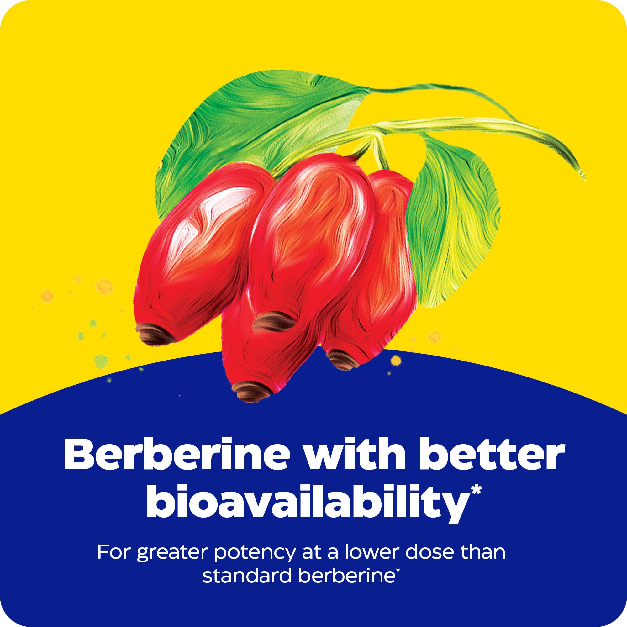 Enzymedica Berberine Phytosome vegan formula with gluten-free labeling.