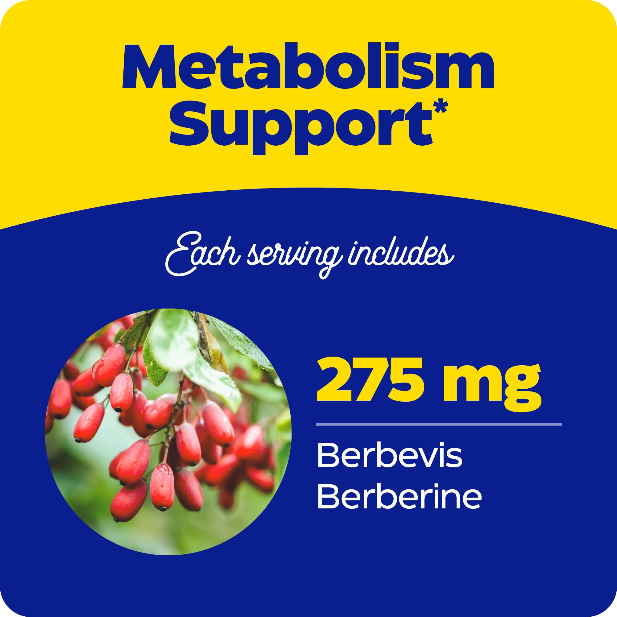 Enzymedica Berberine Phytosome label-detail confirms gluten-free and filler-free formula.