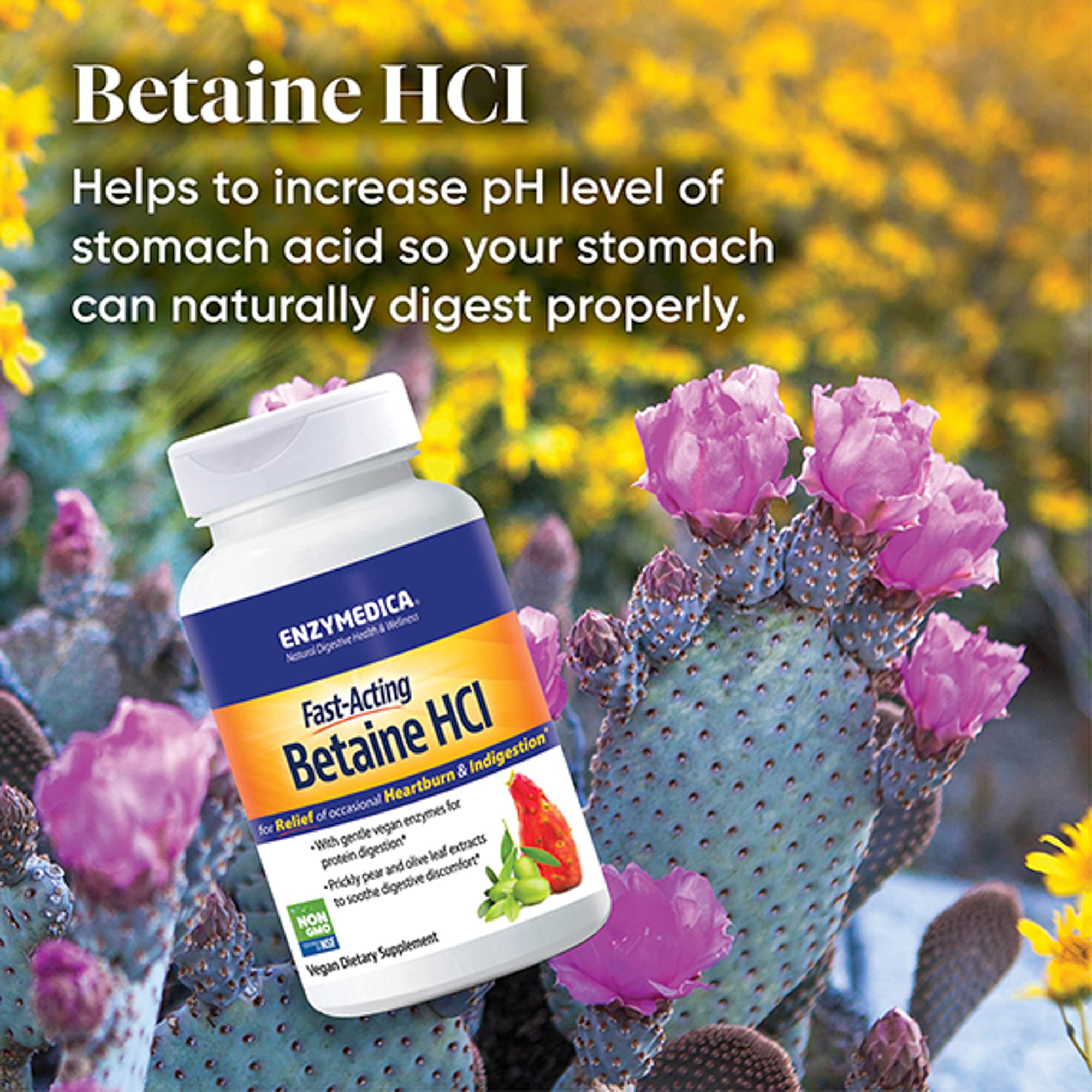 Ingredient label for Enzymedica Betaine HCl highlights gluten-free and vegan formulation.