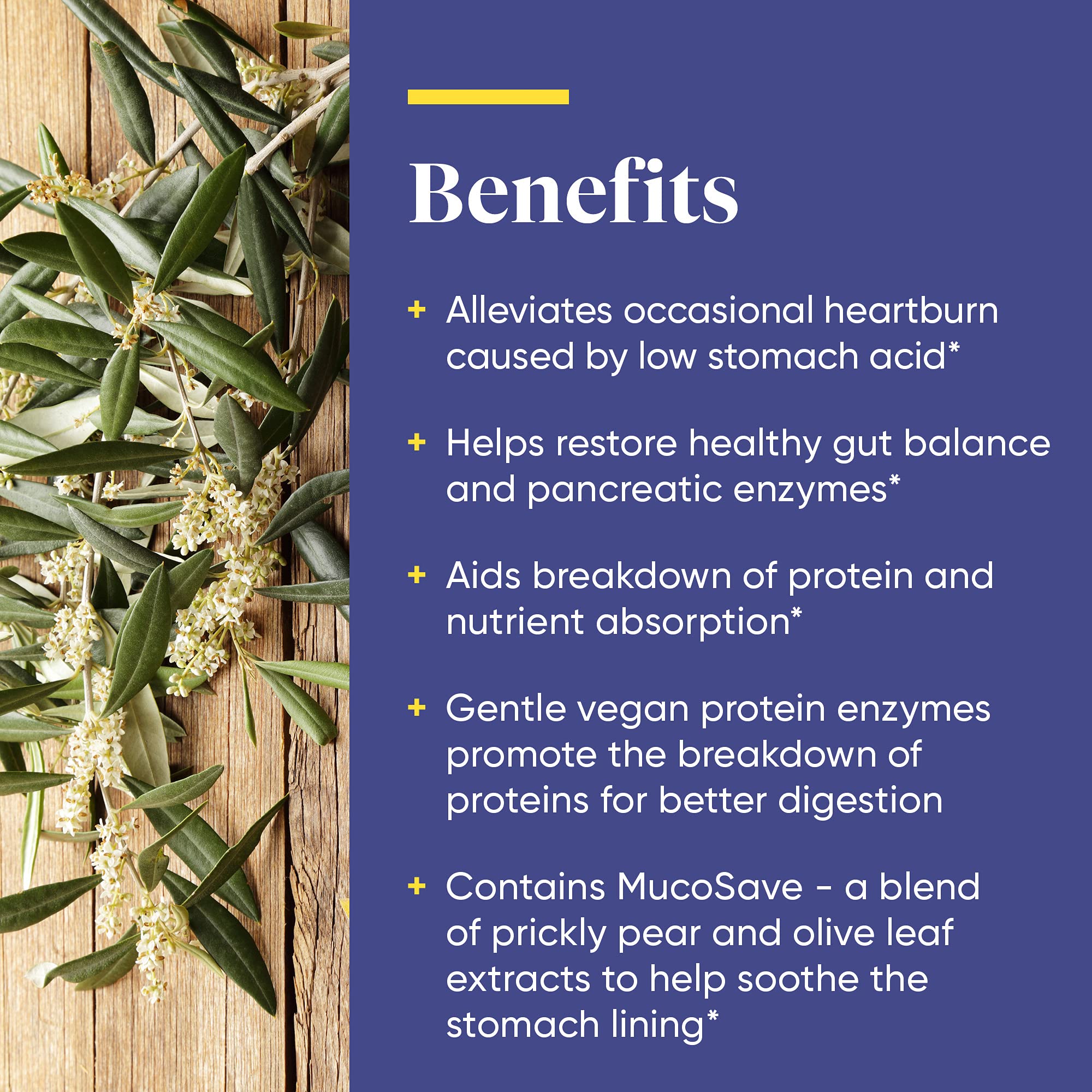 Enzymedica Betaine HCl olive leaf extract on label suggests natural digestive buffering.