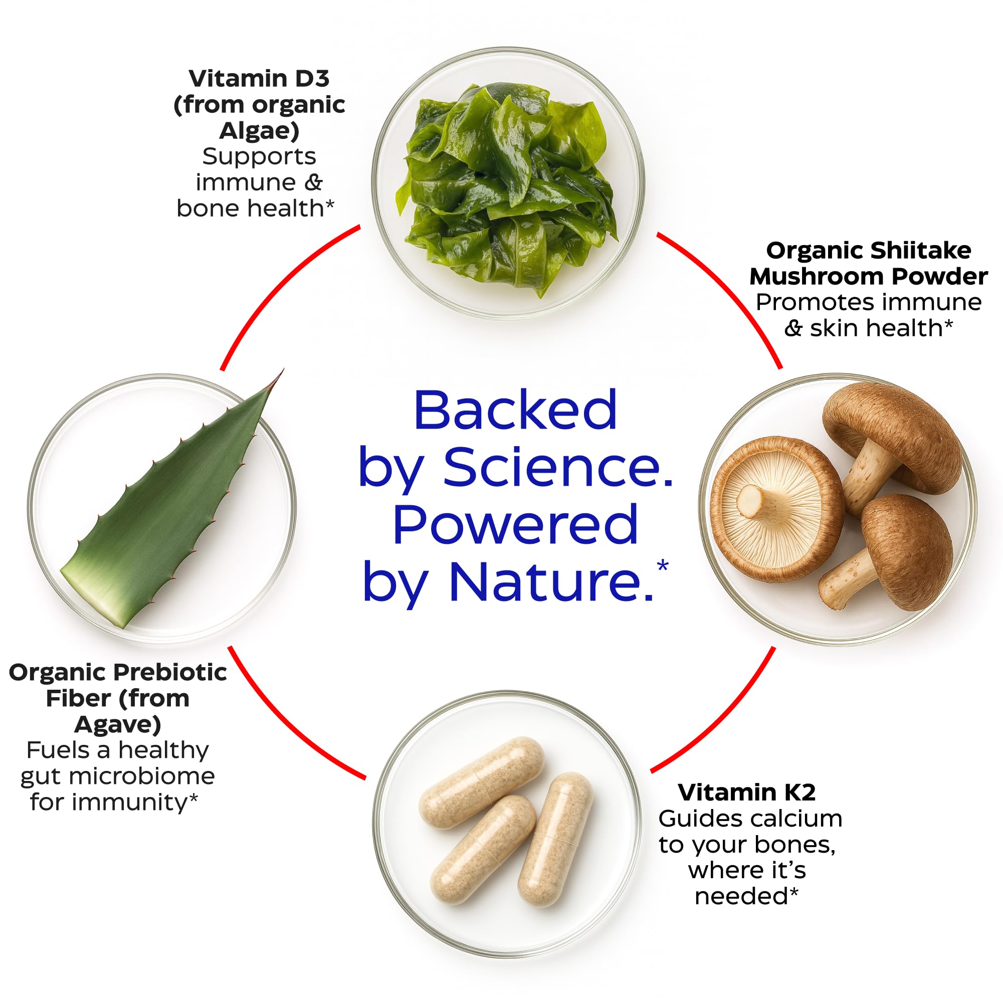 Shiitake mushroom graphic alongside D3 K2 capsule