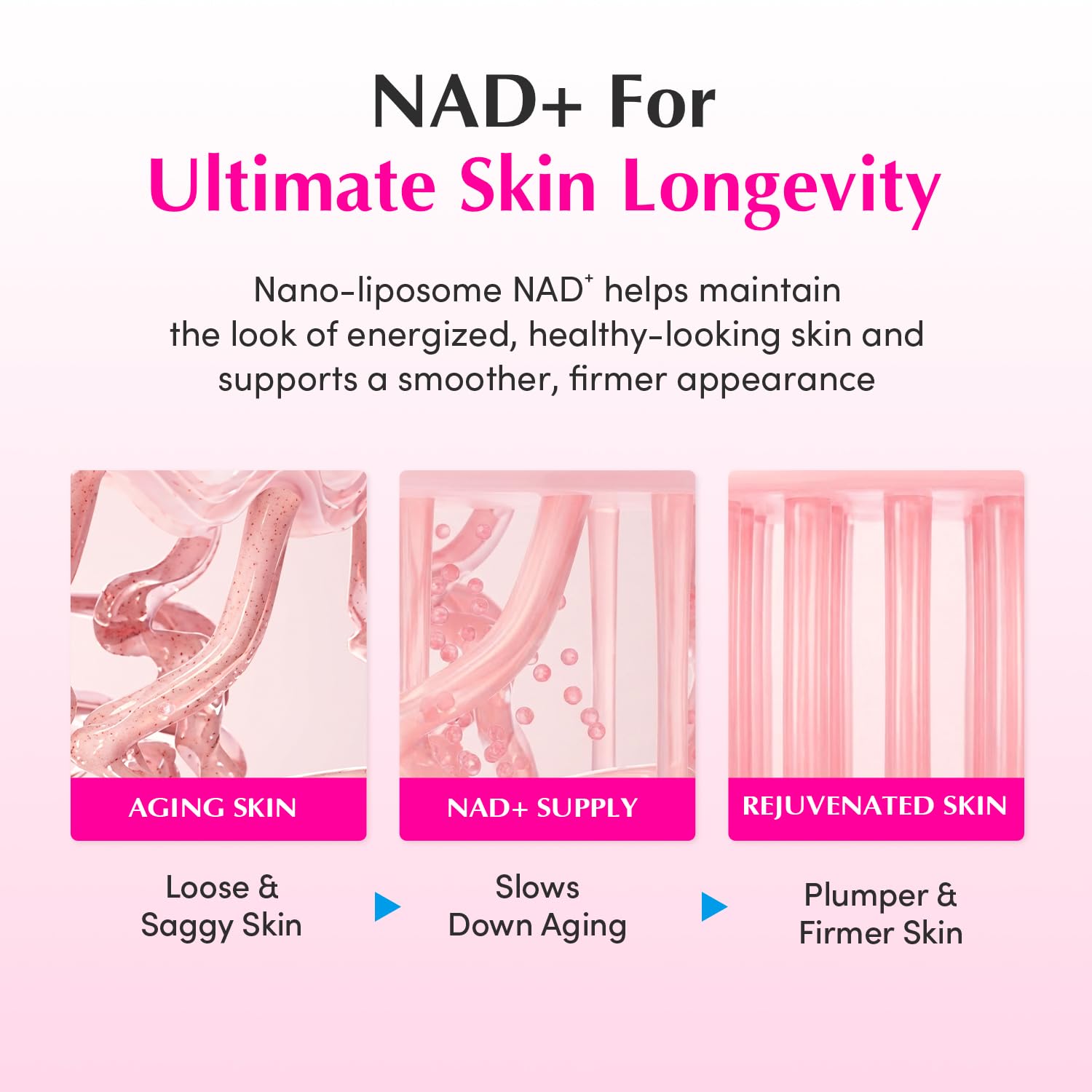 EQQUALBERRY NAD+ Peptide Cream being applied reveals quick absorption and refreshing feel.