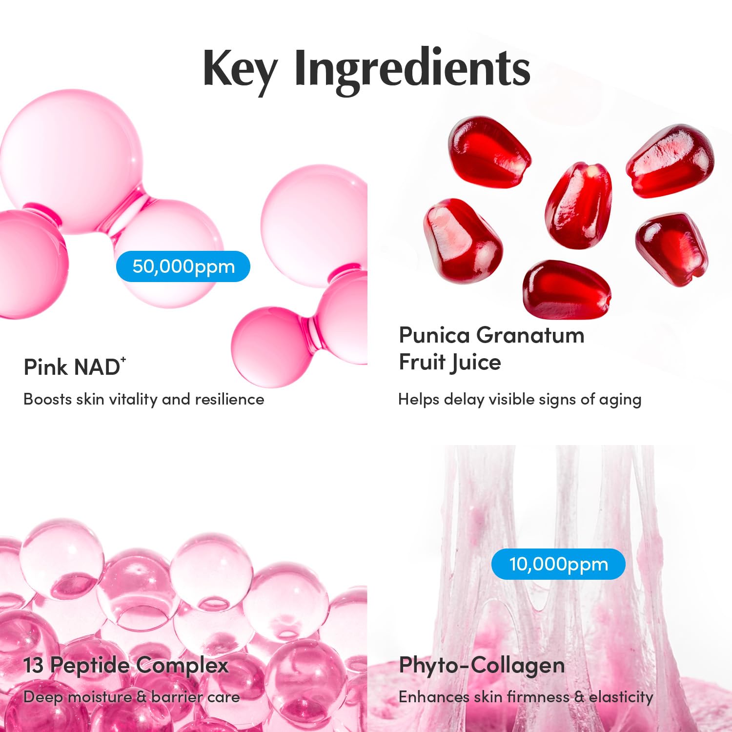 EQQUALBERRY NAD+ Peptide Cream on neck area demonstrates potential lifting and firmness.