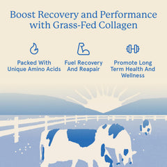 Equip Grass-Fed Collagen Powder ingredients close-up emphasizes pure hydrolyzed peptides.