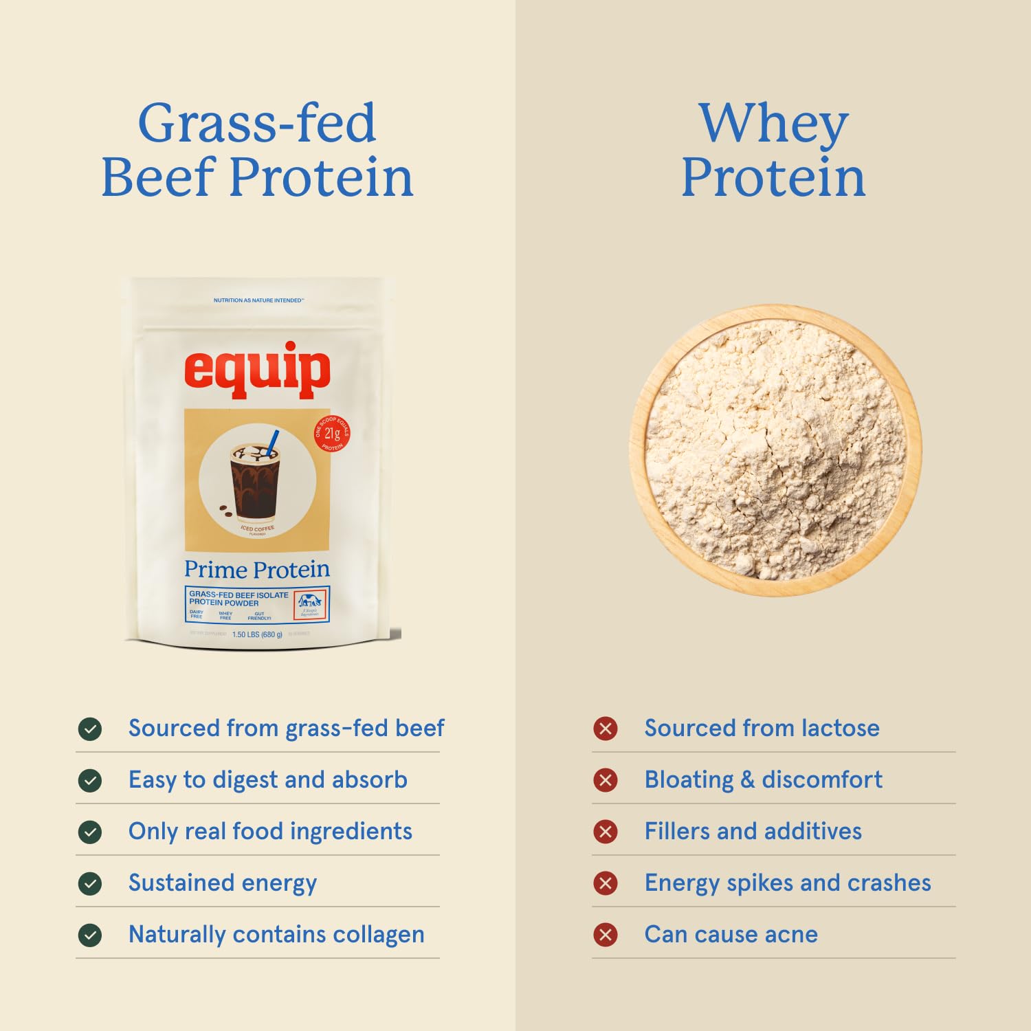 Equip Prime Protein Powder chocolate mug emphasizes rich flavor and dairy-free protein