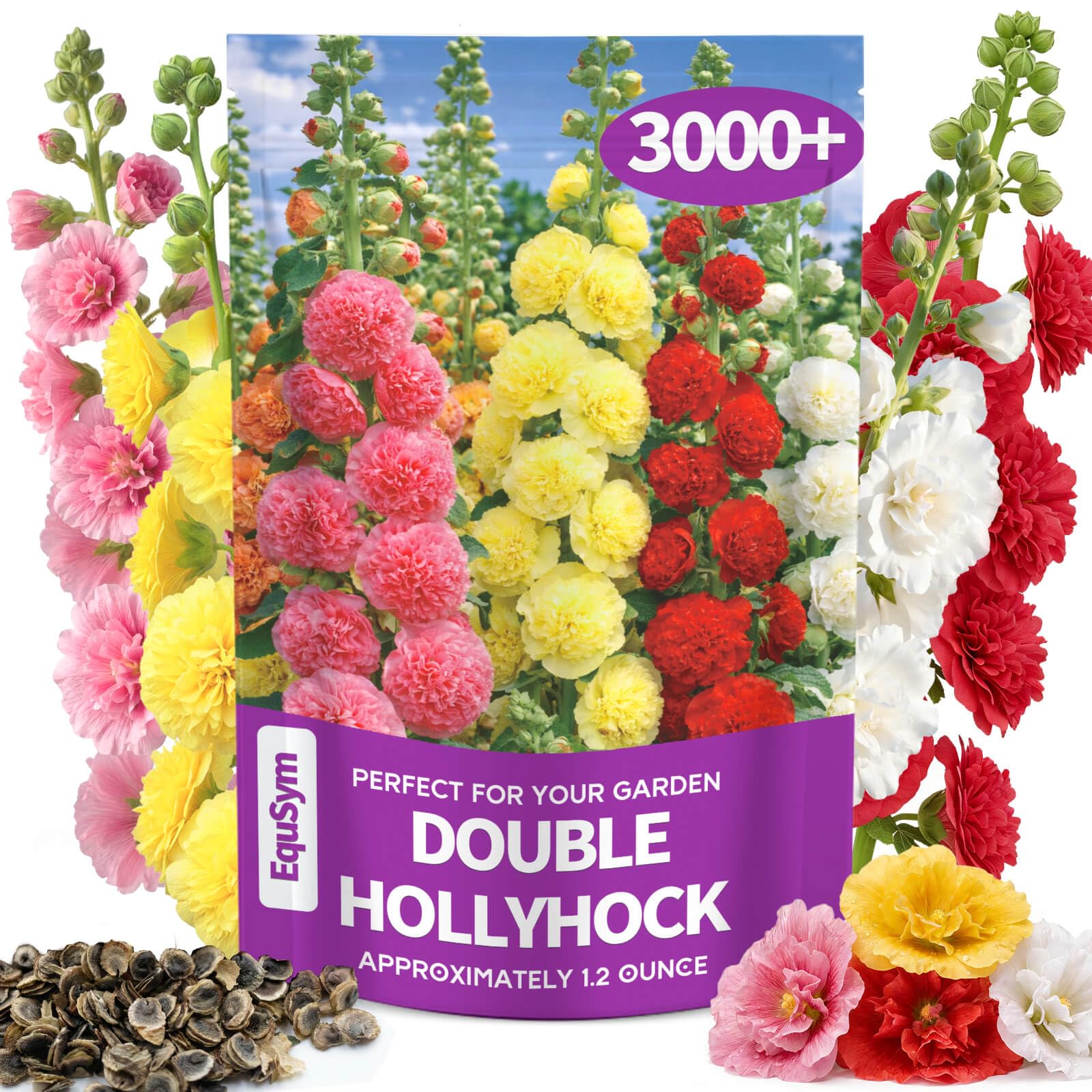 EquSym hollyhock seeds bulk pack for dense fence-line blooms and color