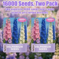 EquSym delphinium seeds gift pouch highlighting premium seeds for gifting