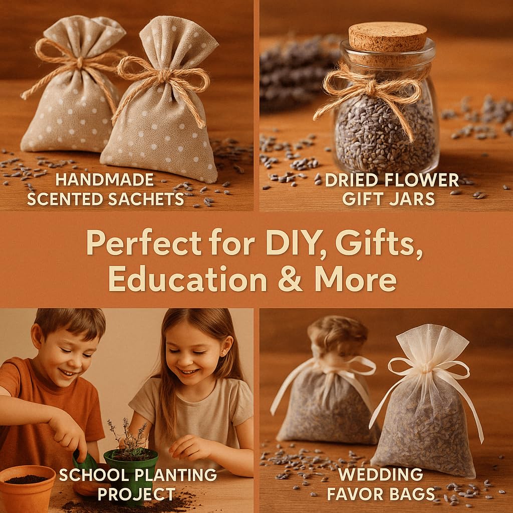 EquSym DIY lavender oil ideas for home use