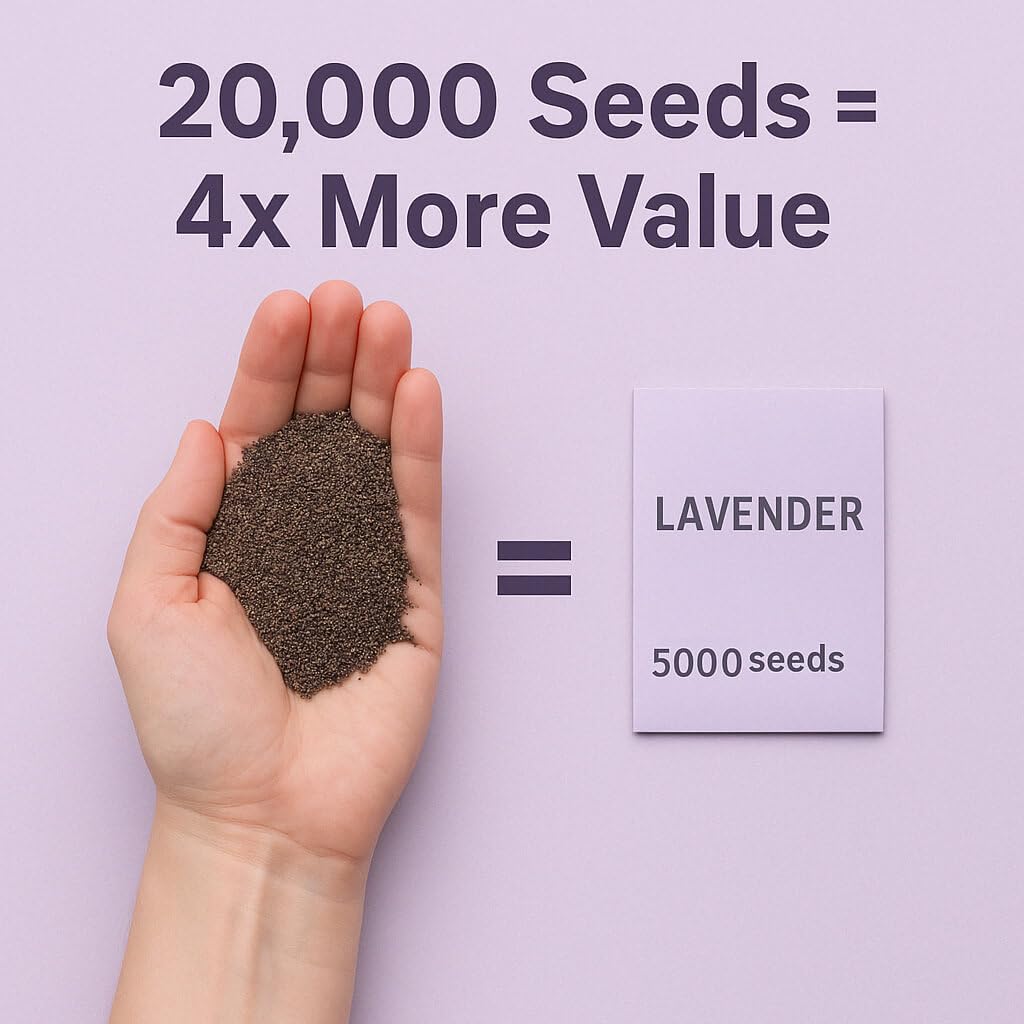 EquSym dried lavender bundles ideal for sachets and crafts