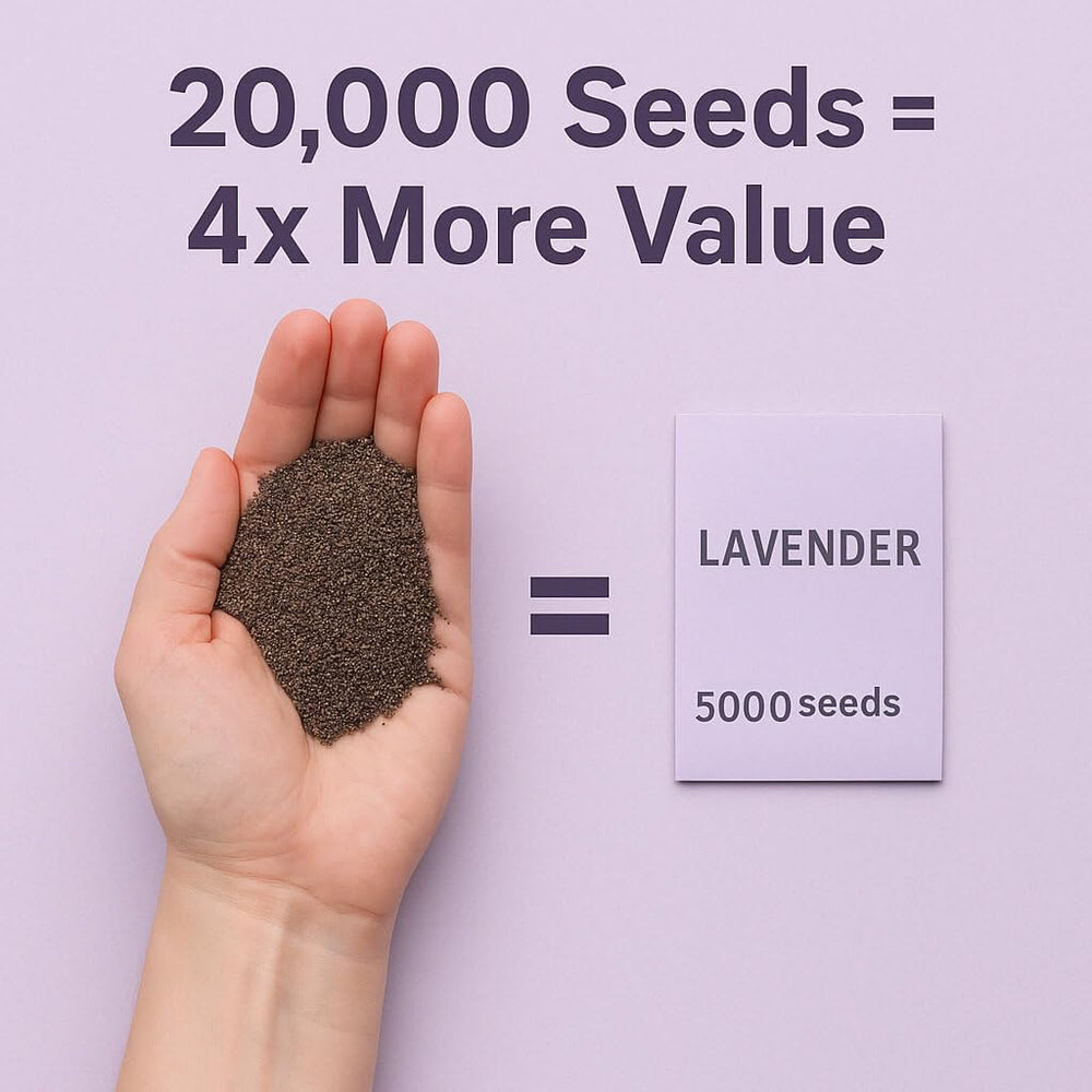 EquSym dried lavender bundles ideal for sachets and crafts
