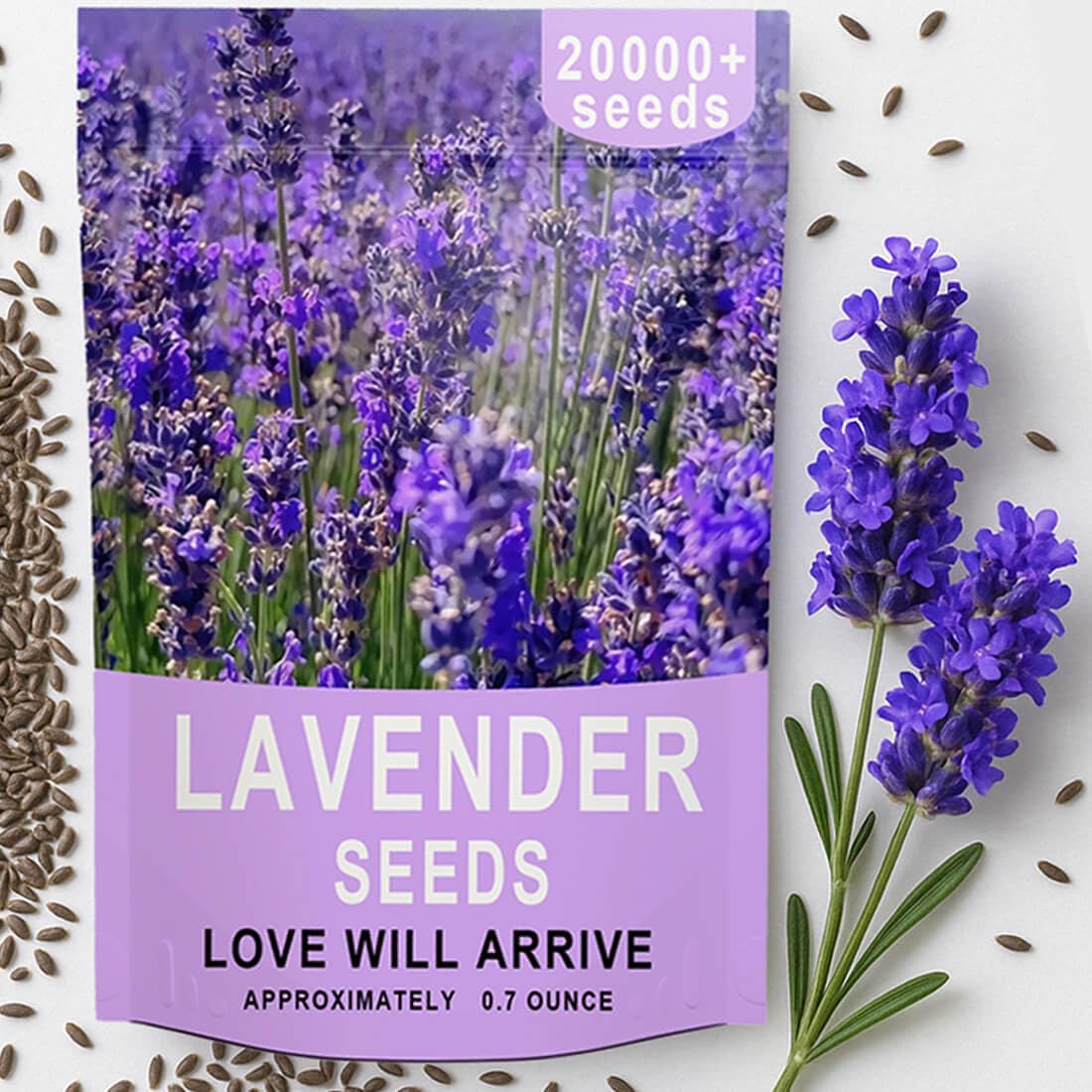 EquSym lavender seeds bulk pack ready for outdoor planting and lush borders