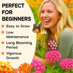EquSym milkweed varieties bloom in multiple colors to attract butterflies.
