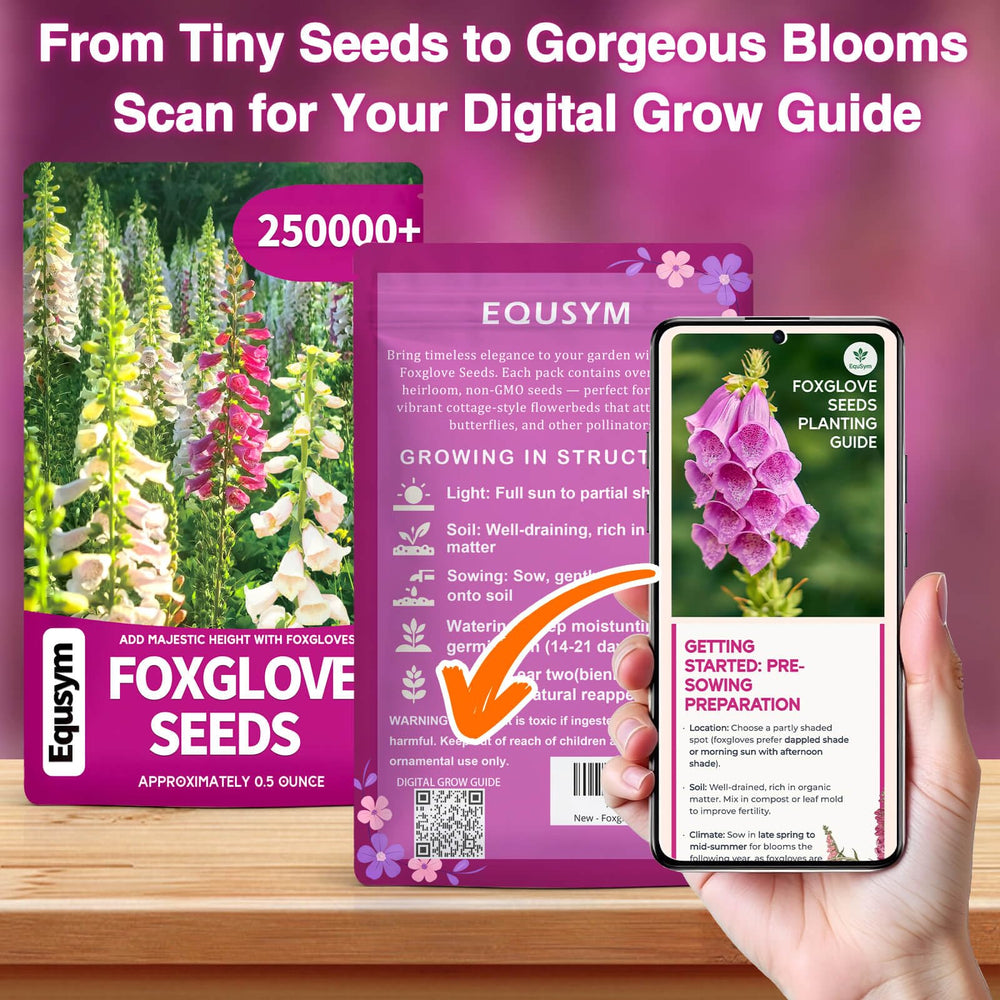 EquSym foxglove seeds mixed colors brighten borders and attract early-season pollinators.