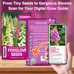 EquSym foxglove seeds mixed colors brighten borders and attract early-season pollinators.