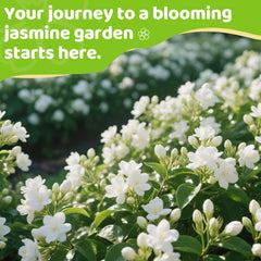 EquSym non-GMO high germination seeds promise reliable sprouting without additives.