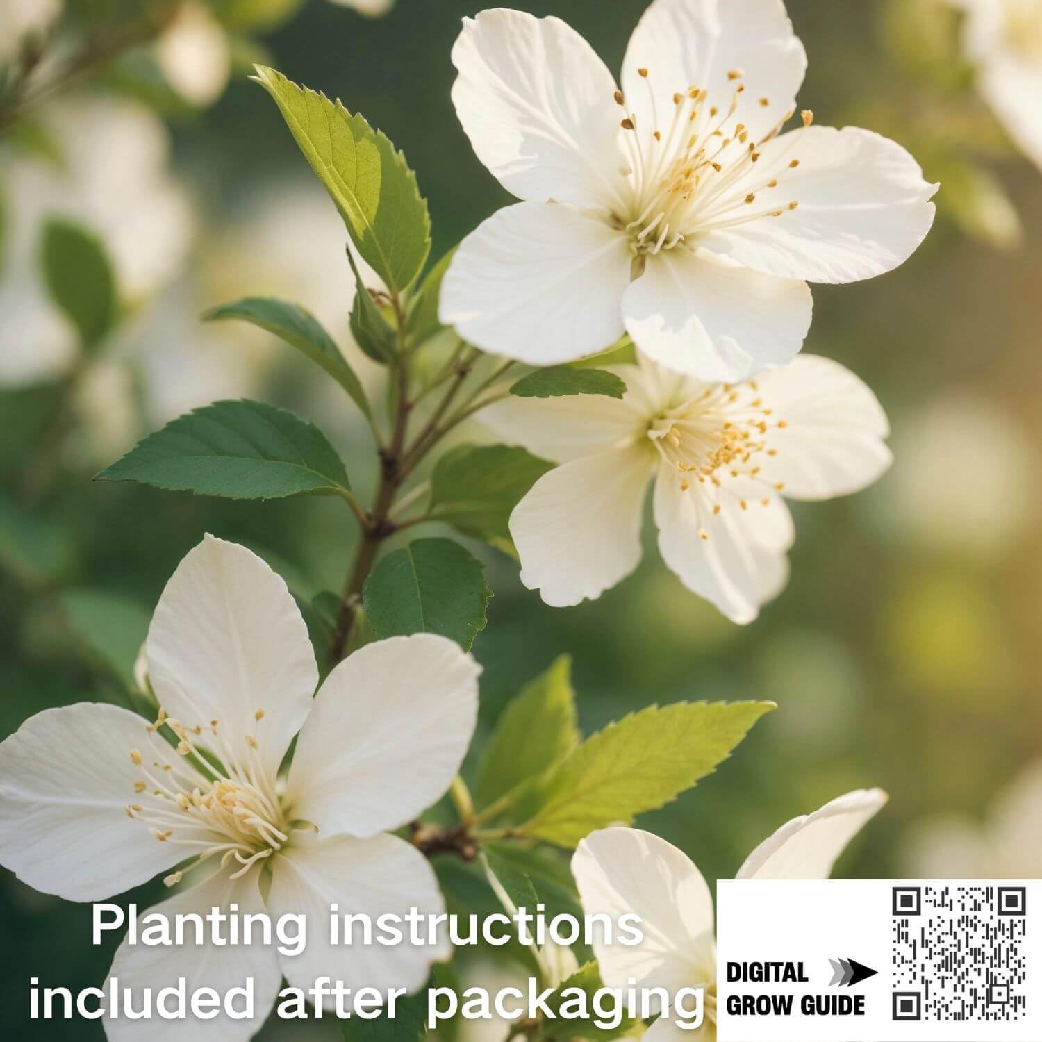 EquSym garden decor for vertical displays adds fragrance and color.