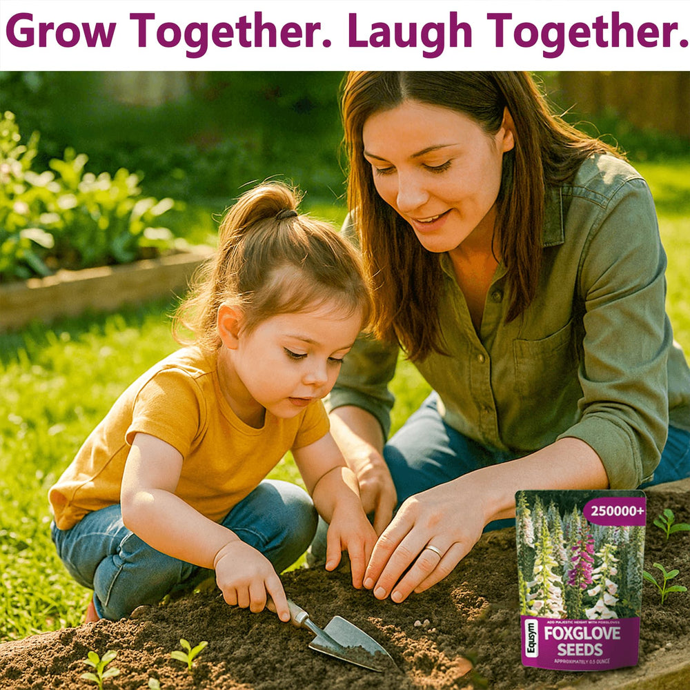 EquSym bulk pack thrives in USDA zones 4-9 with well-drained sun exposure.