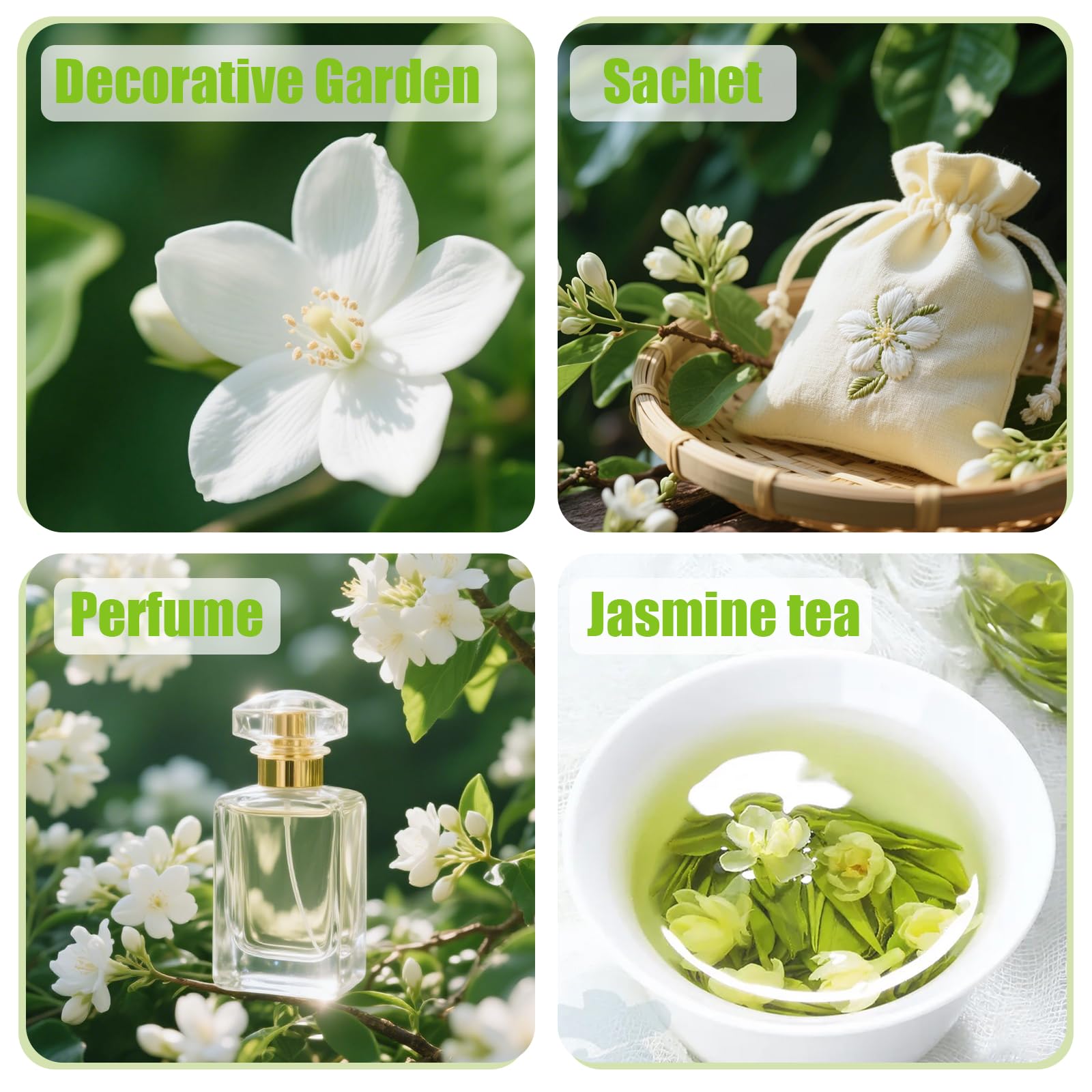EquSym vertical garden jasmine vine climbs fences and trellises for compact spaces.