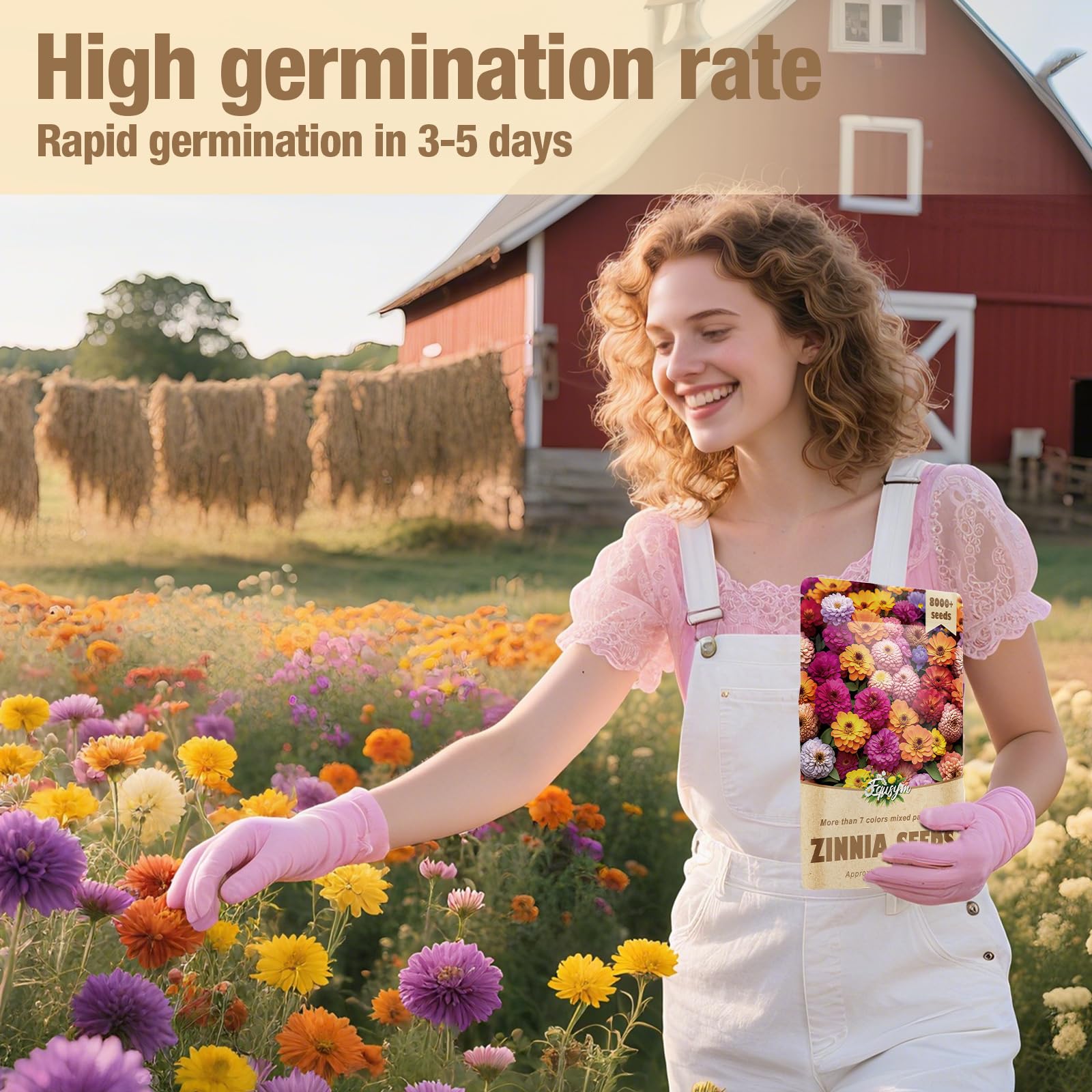 EquSym zinnia seeds continuous-bloom showcases color from summer to frost.