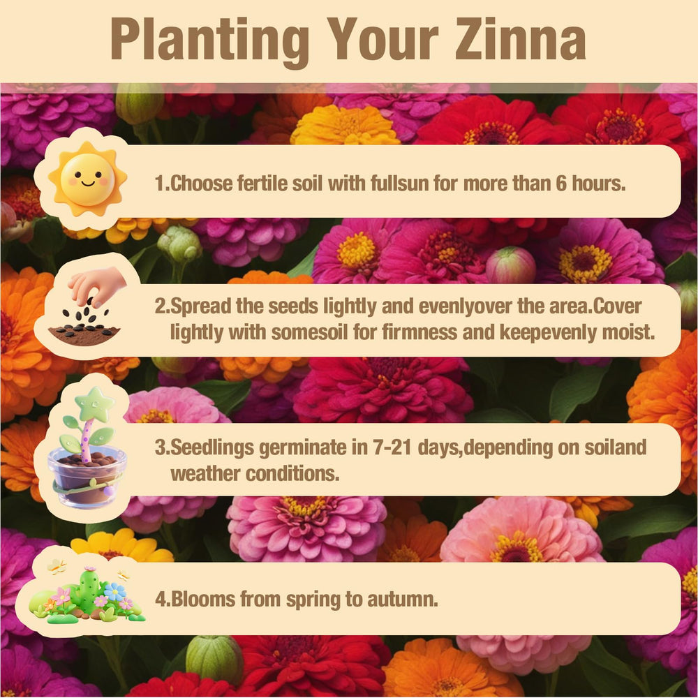 EquSym zinnia seeds cut-bouquet ready blooms for fresh arrangements.