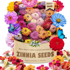 EquSym zinnia seeds mix pack ready for vibrant borders and containers.