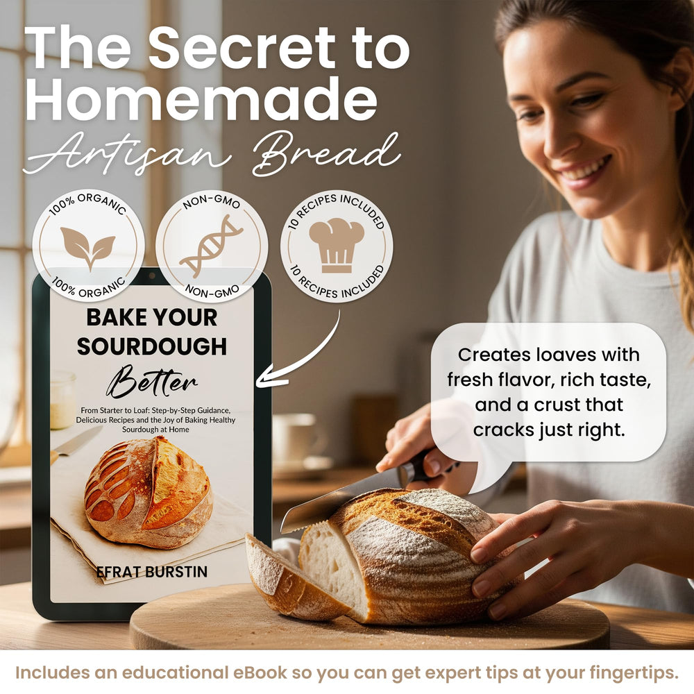 ERNEY Dehydrated Sourdough Starter with eBook included guides aspiring bakers toward clear steps