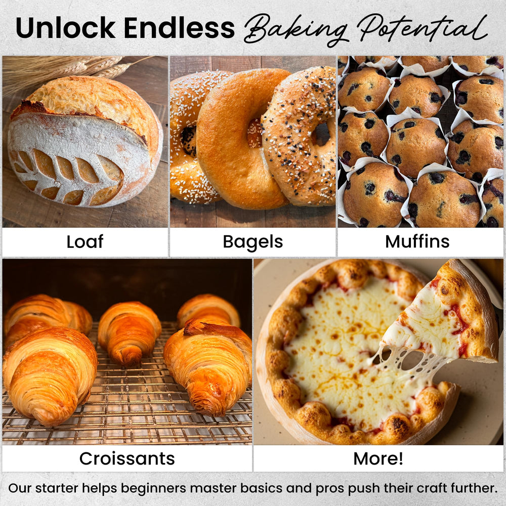 ERNEY Sourdough Pizza Crust close-up showcases quick-start baking versatility