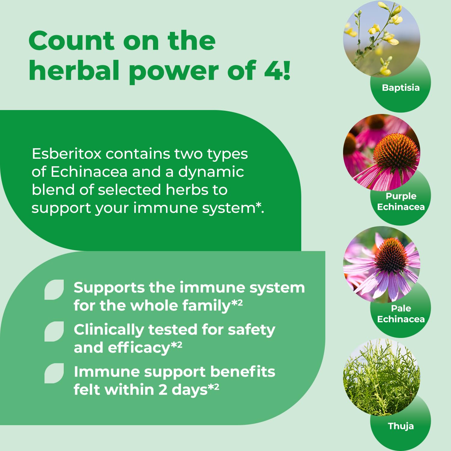 ESBERITOX wild indigo root visual emphasizing plant-based wellness