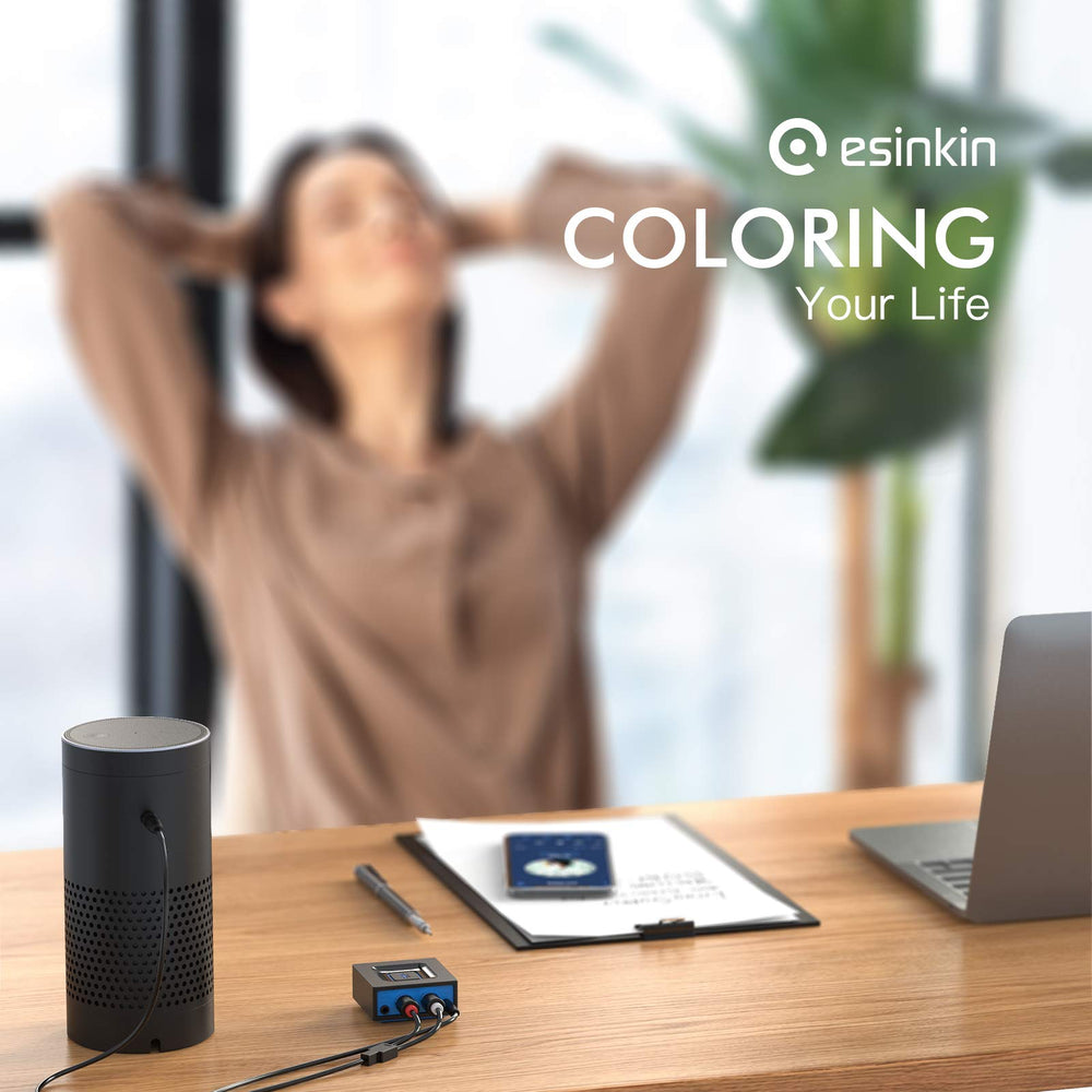 Esinkin car audio use demonstrates wireless streaming on the road.
