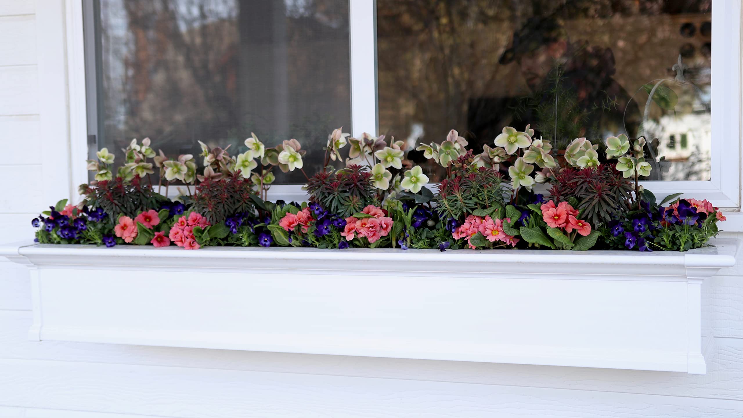 Espoma Bloom! nourishing indoor flowering plants for steady color