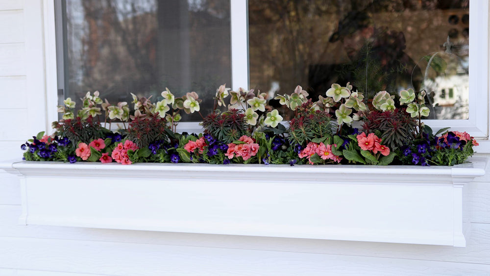 Espoma Bloom! nourishing indoor flowering plants for steady color