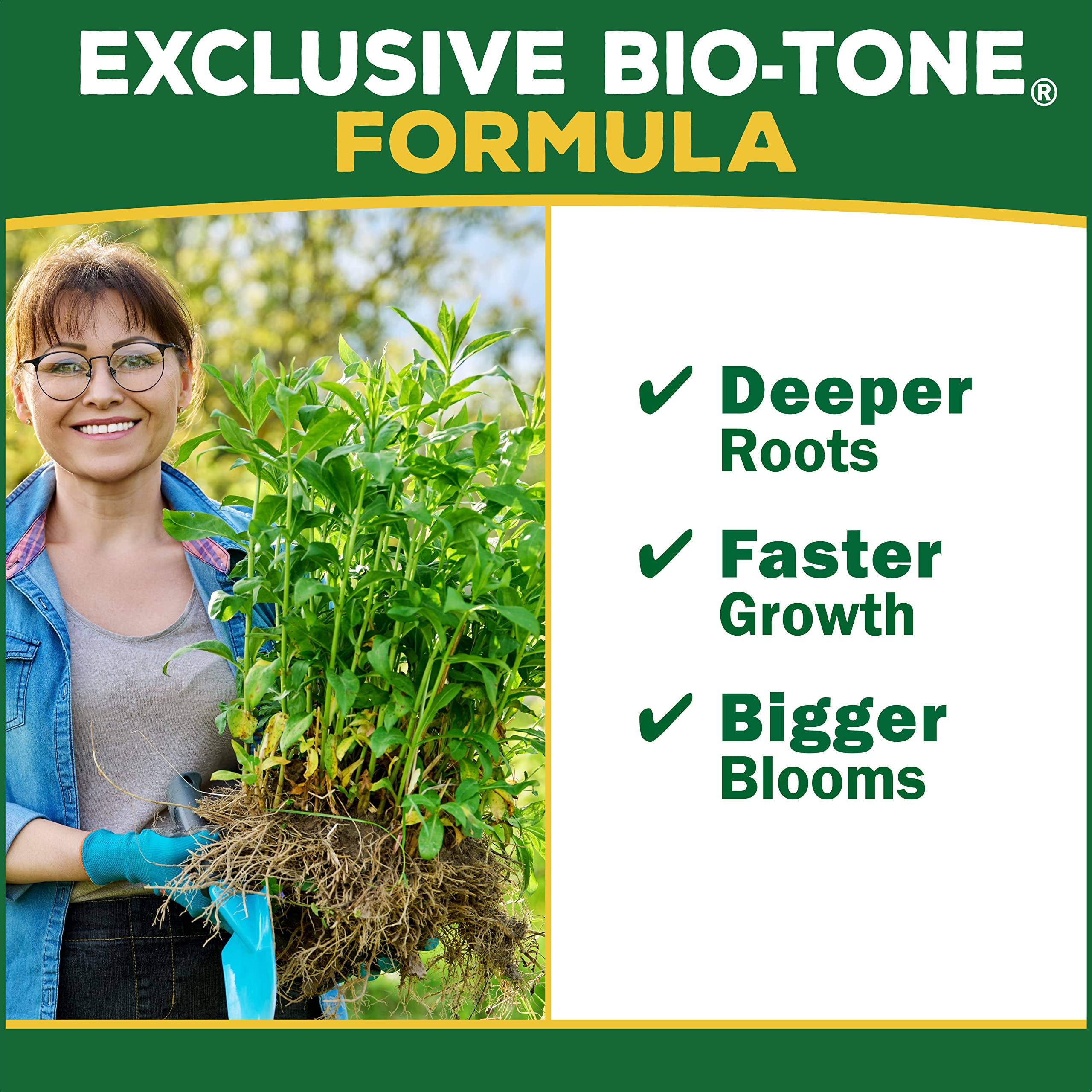 Espoma organic fertilizer promotes healthy growth for flowering shrubs.