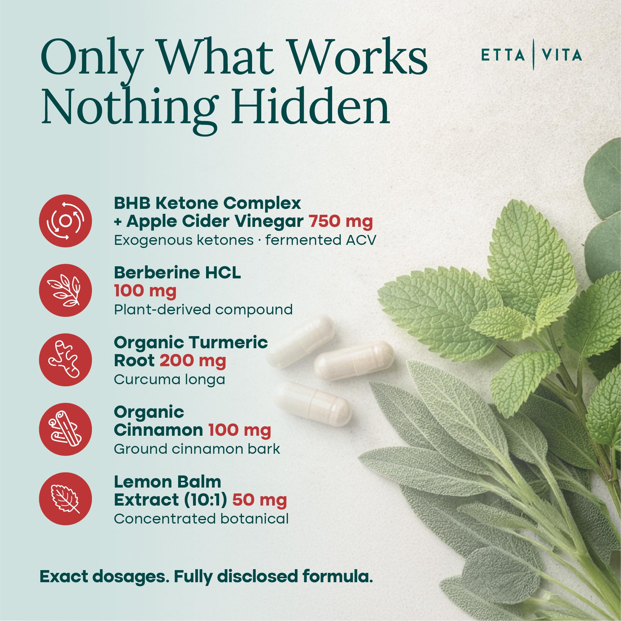 Etta Vita daily-use capsules fit into busy routines