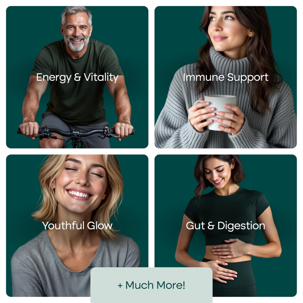 Etta Vita gelatin-free plant-based capsules designed for vegan gluten free diets
