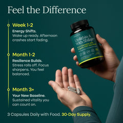 Sea moss component from the line underscores mineral-rich gut and immune support.