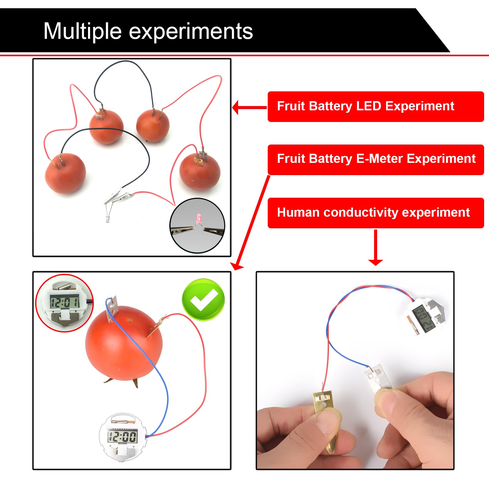 EUDAX watch-sized electronic clock powered by fruit solution.