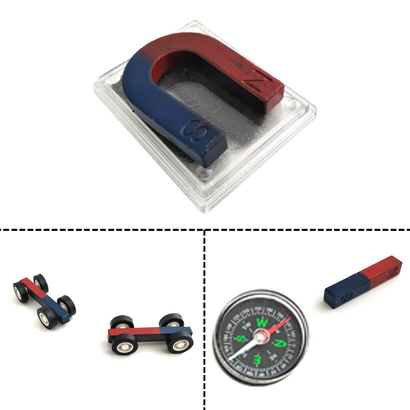 EUDAX Labs ring ceramic magnets for field visualization experiments