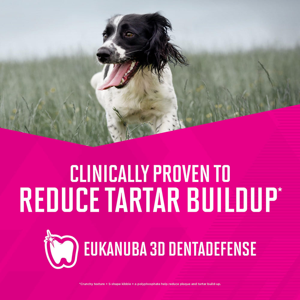 DHA and vitamin E support brain function for small dogs.