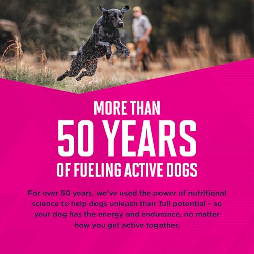 Portion guidelines help owners feed small-breed dogs properly.