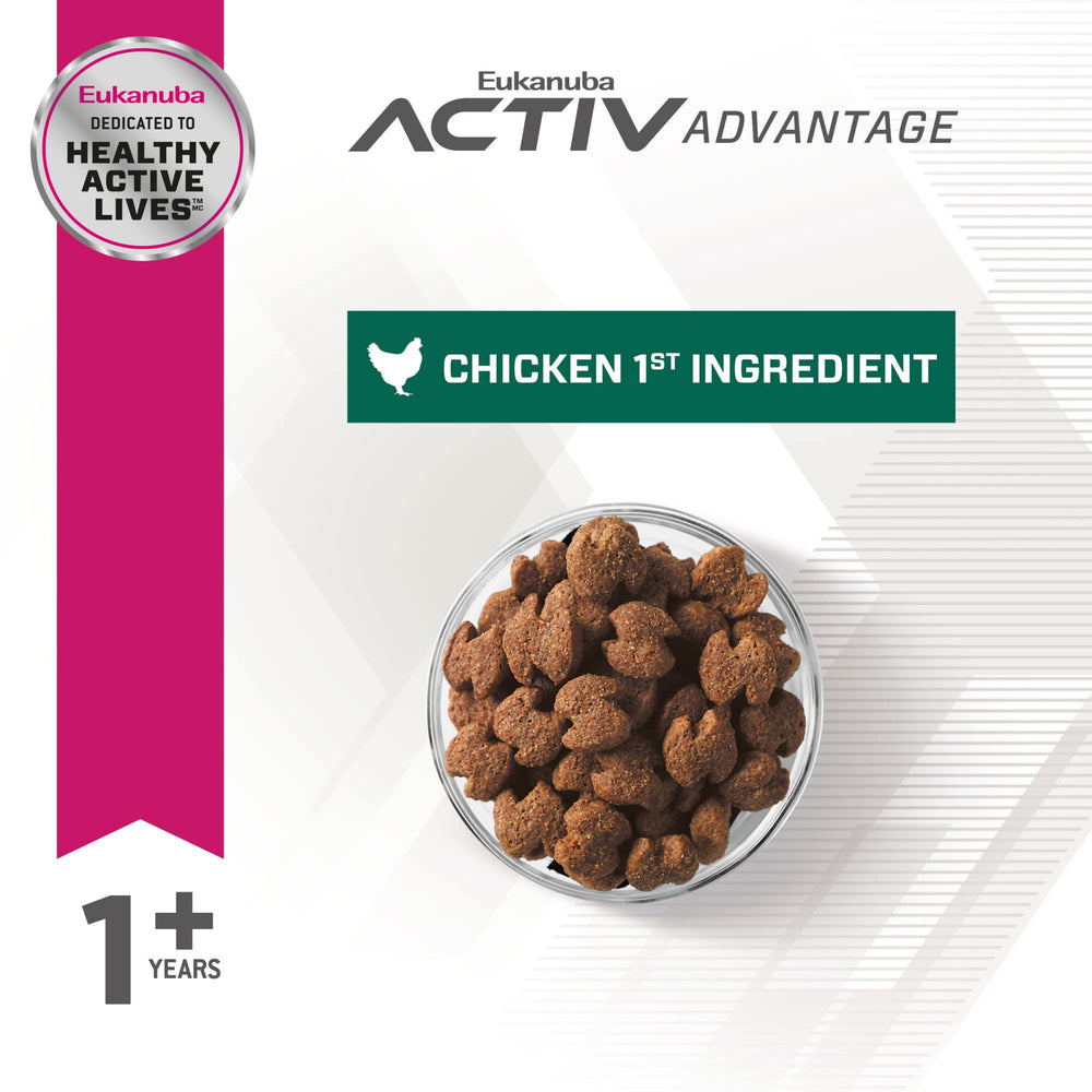 Bol chien avec croquettes Eukanuba – prêt à bouger grâce à la nutrition adaptée.