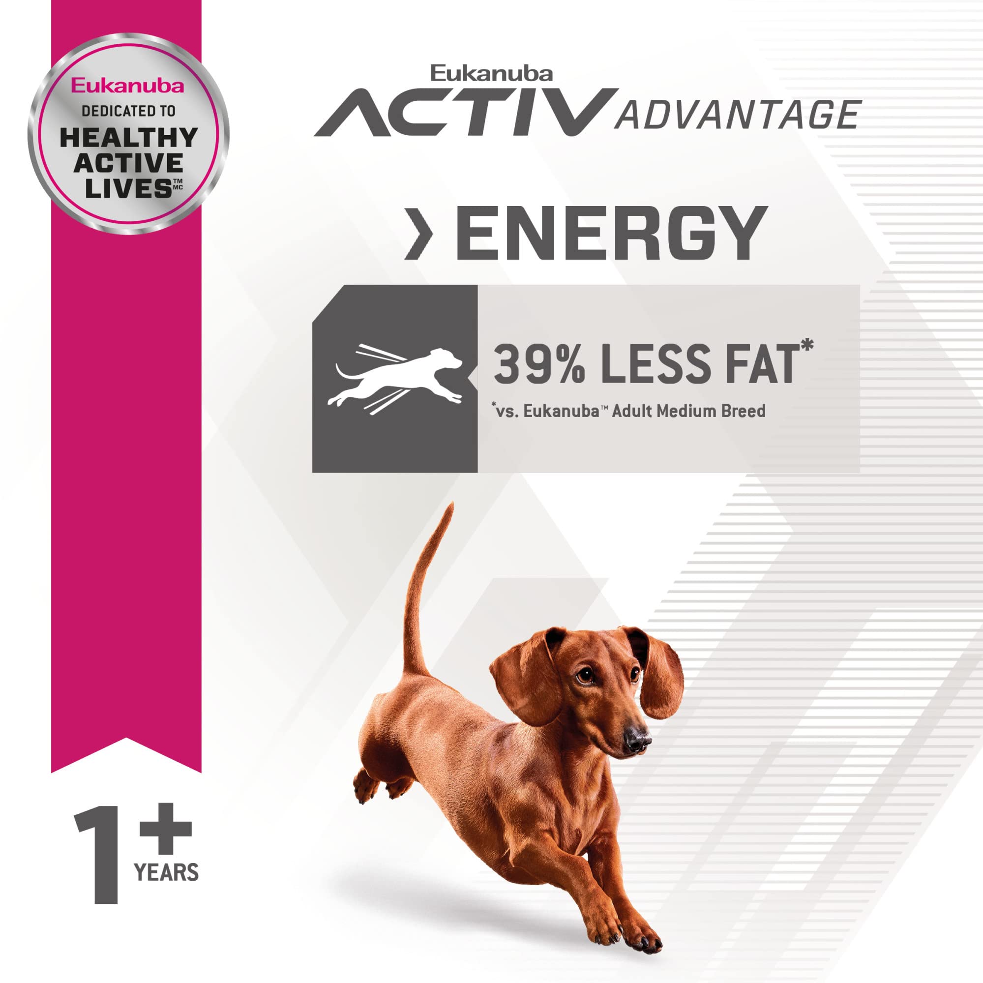 Chien actif en mouvement – soutien articulaire et énergie avec DHA et glucosamine.