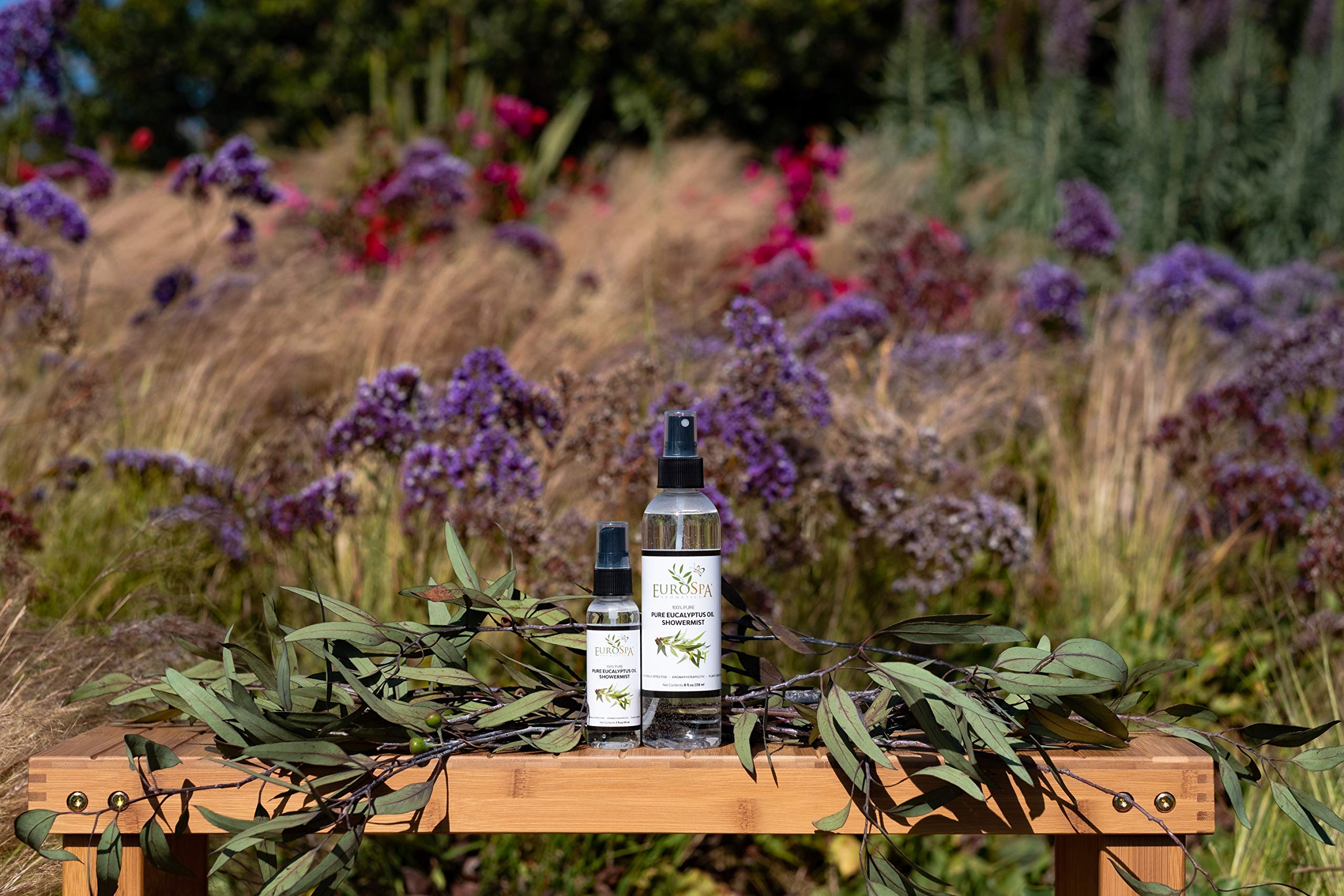 EuroSpa Aromatics Pure Eucalyptus Oil Gift-ready packaging showcases premium aromatherapy.
