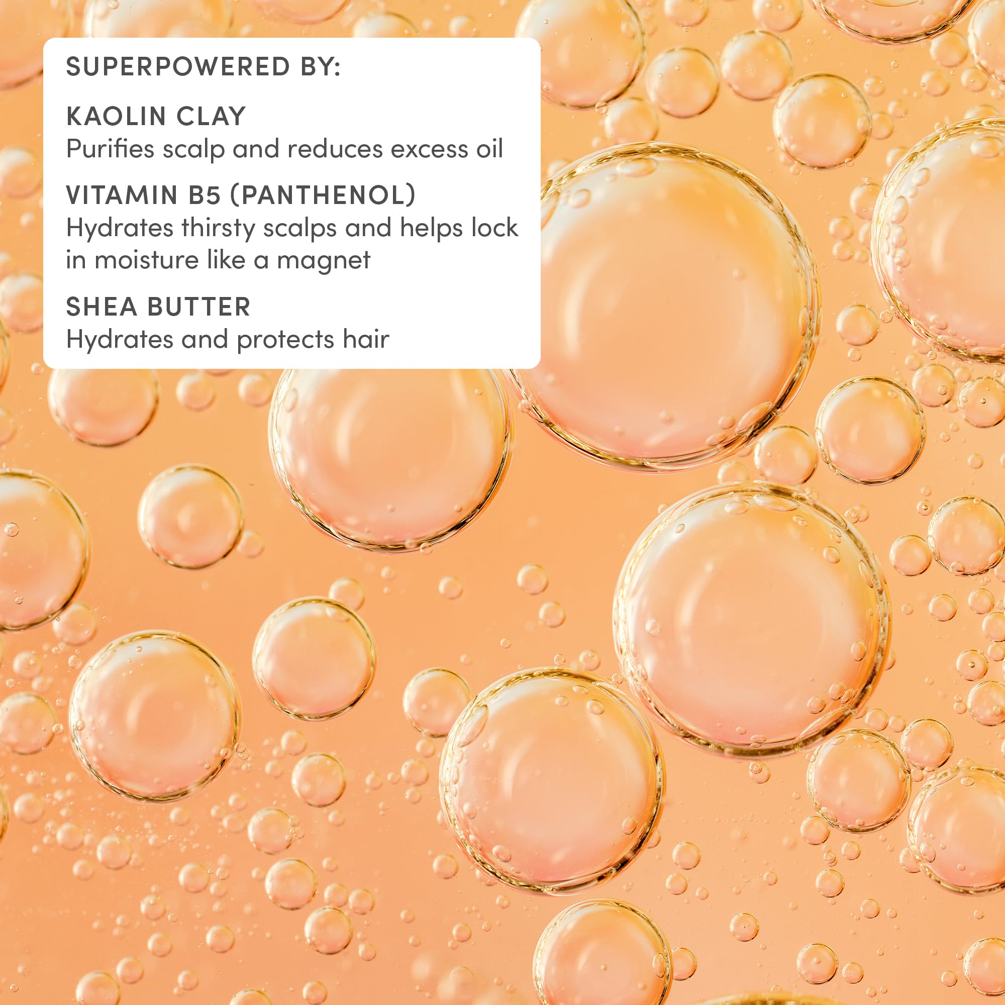 Family-friendly Evereden daily cleanser suitable for all hair types and ages.