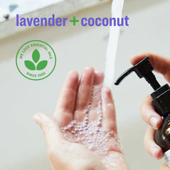 Scent of lavender and coconut enhances daily handwashing with calming notes.