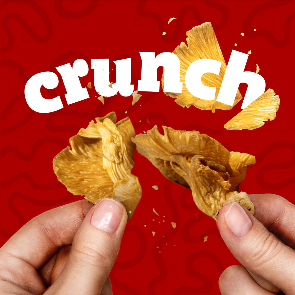 EVIL SNACKS nutrition label close-up, signaling Non-GMO and plant-based nutrients.